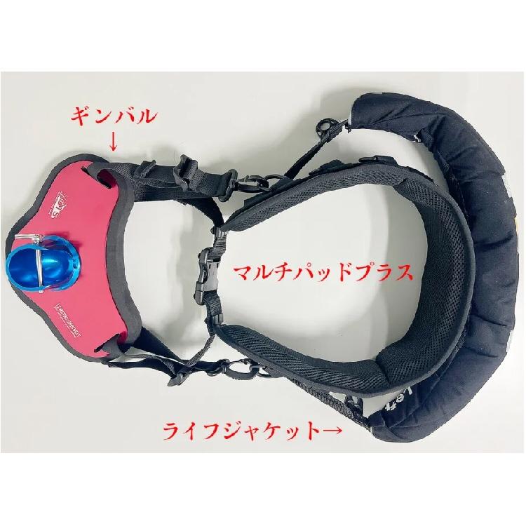 Real Works Multi Fighting Pad