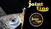 THIRTY34FOUR JOINT LINE (Ajing Leader)