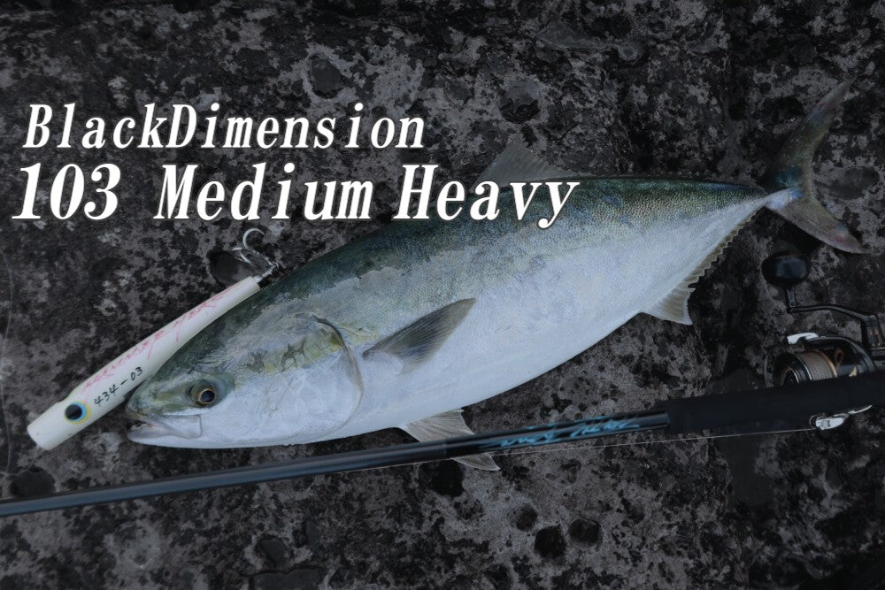 TRUTH JAPAN Spinning Rod BlackDimension 103MH