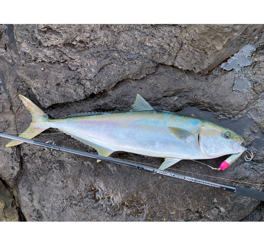 JUMPRIZE TWO LIMIT BlueBattle 102 Series