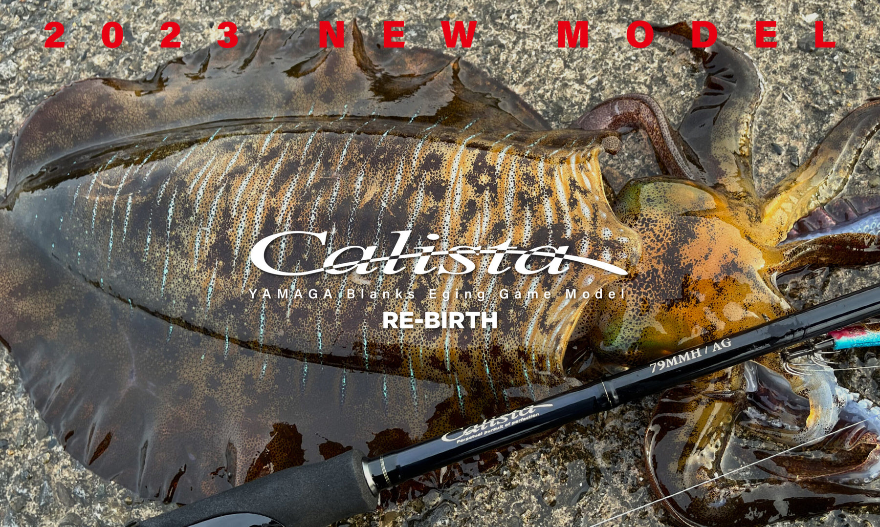 23 Yamaga Blanks Calista TZ NANO Squid Fishing Rod 76ML/TJ