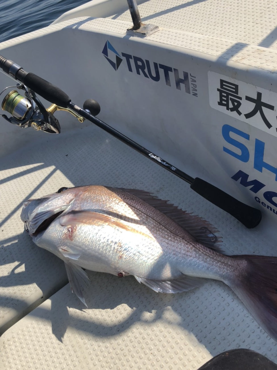 TRUTH JAPAN LightSwicher 73/78