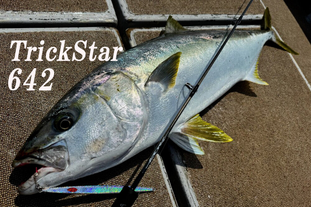 TRUTH JAPAN Trick Star 642