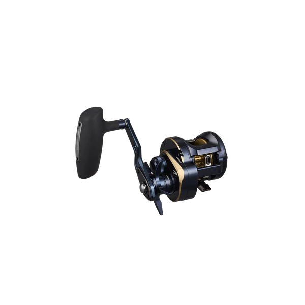 DAIWA 25 Saltiga 300H