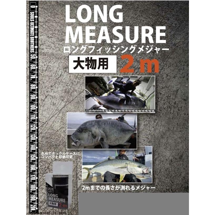 SOULS Long Fishing Measure 2m