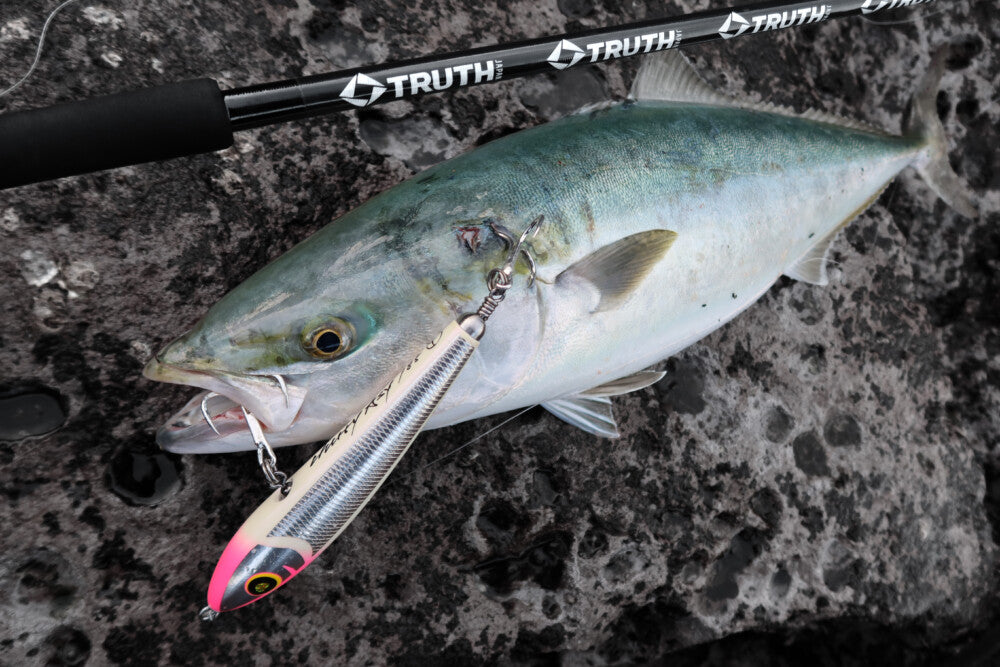 (Pre-Order) TRUTH JAPAN Spinning Rod BlackDimension 103MH