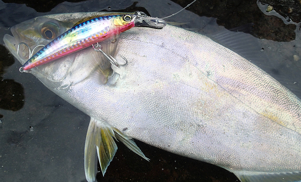 Duel Hardcore Heavy Sinking Minnow 110mm 37g