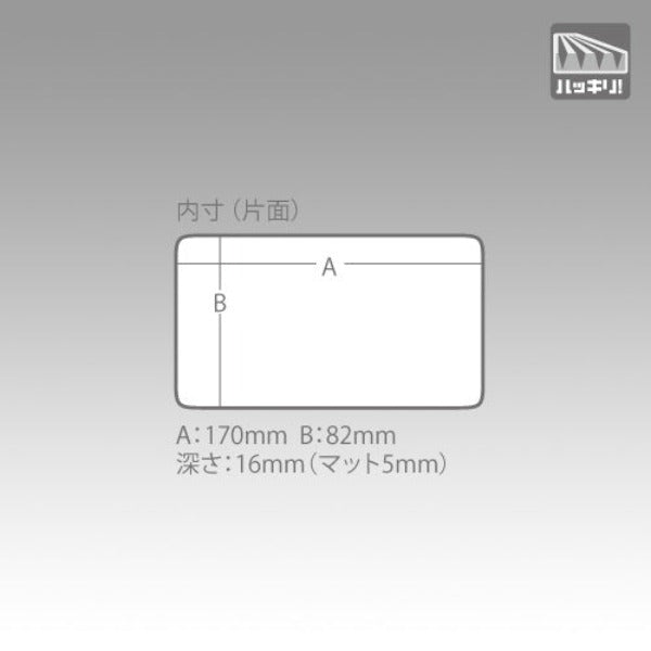 MEIHO Tackle Box Rungun Case 1010W-2