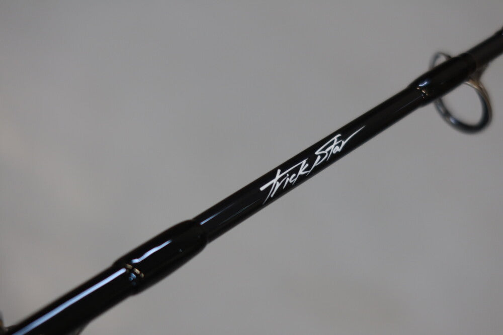 TRUTH JAPAN Trick Star 536 (Jigging Spinning Model)