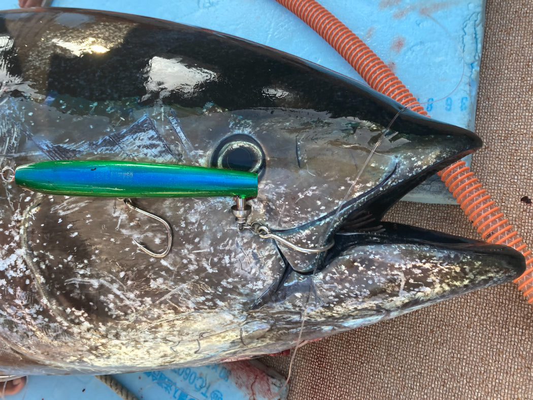 Gamakatsu Plugging Single Recorder Ringed Hook