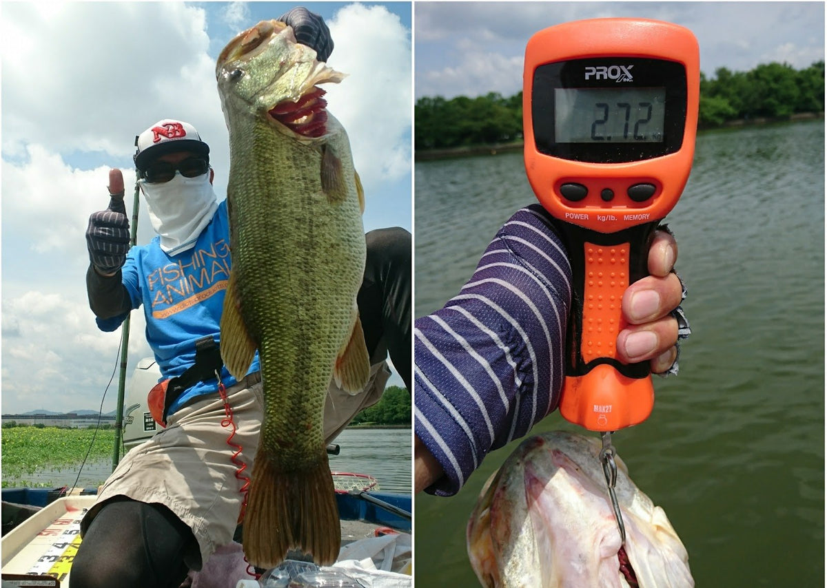 PROX DIGITAL SCALE 27 - Coastal Fishing Tackle