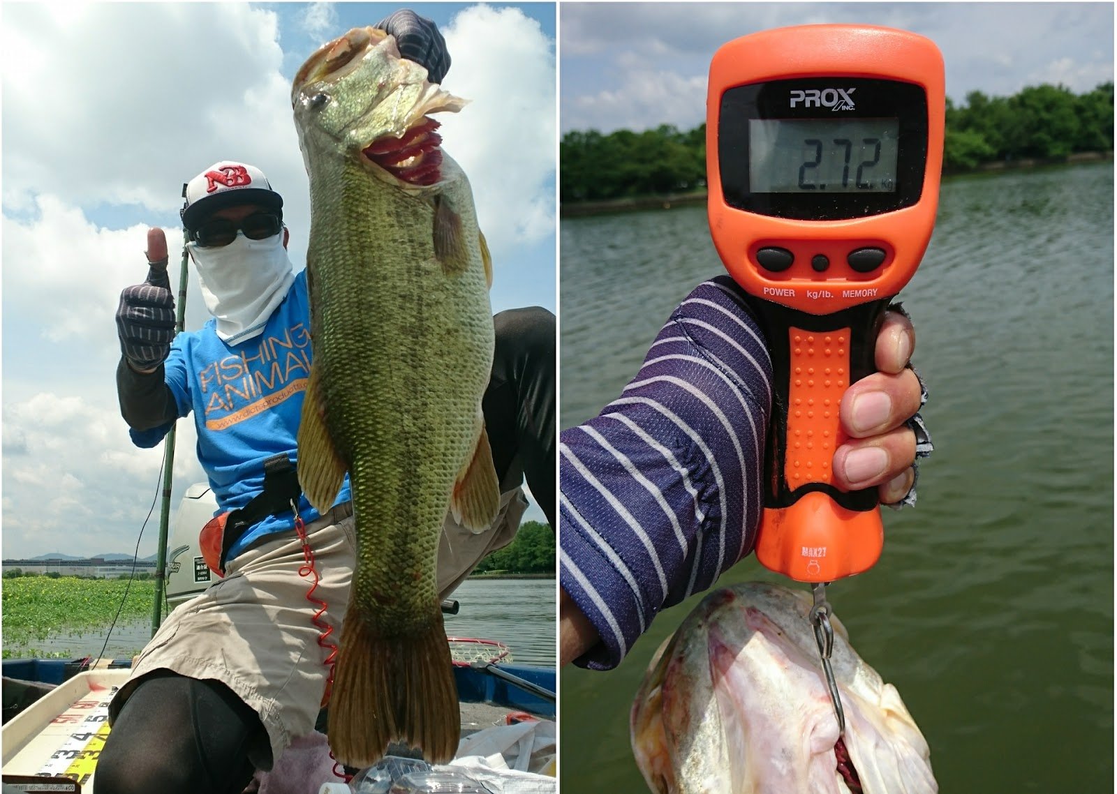 PROX DIGITAL SCALE 27 - Coastal Fishing Tackle