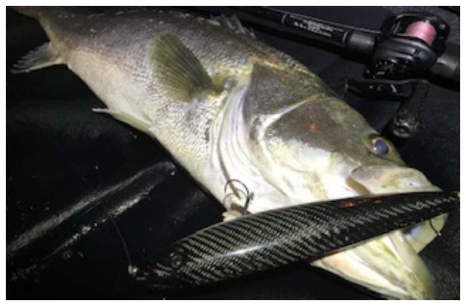 STUDIO COMPOSITE DAVIS 235 CARBON COMPOSITE LURE 235mm 148g