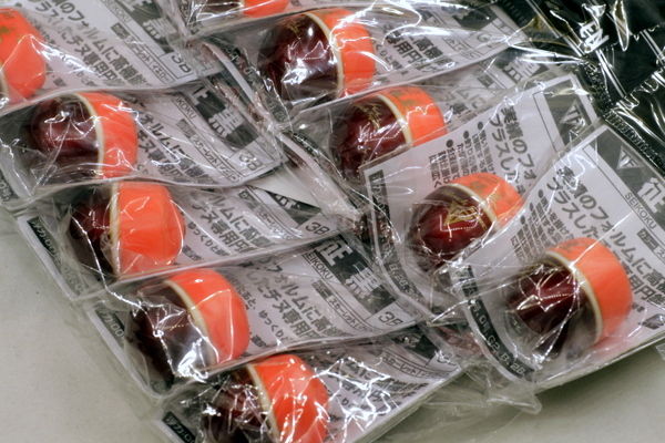 Tsuriken ISO Fishing Float Seikoku