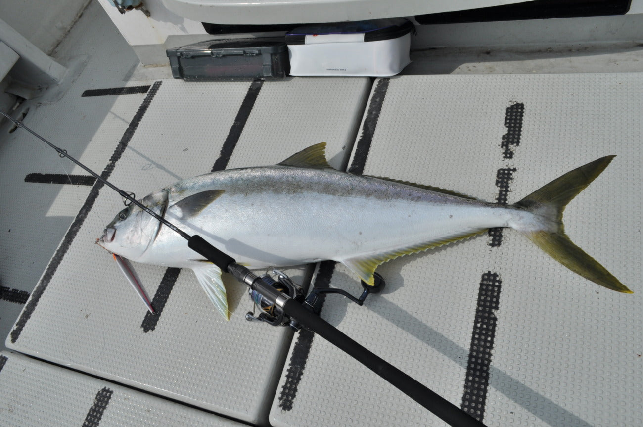 TRUTH JAPAN Trick Star 643 (Jiging Spinning Model for Yellowtail)