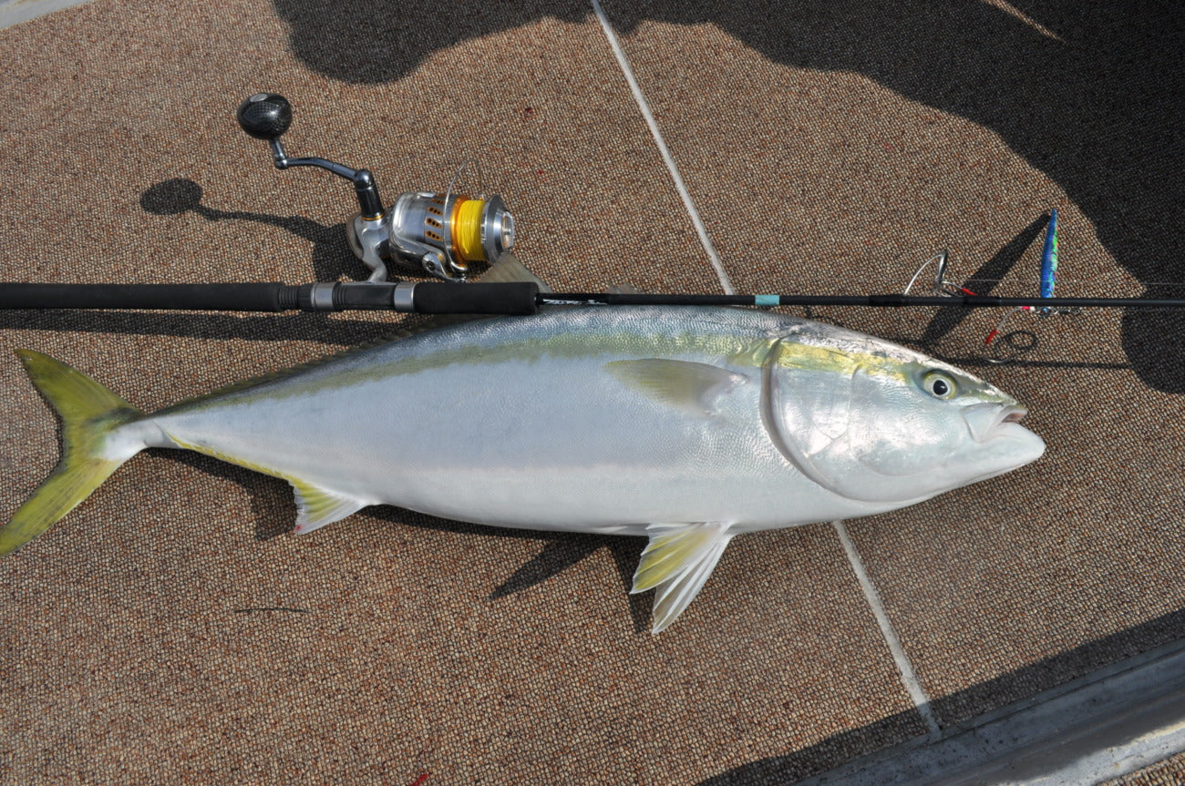 TRUTH JAPAN Trick Star 624 (Jiging Spinning Model for Yellowtail)