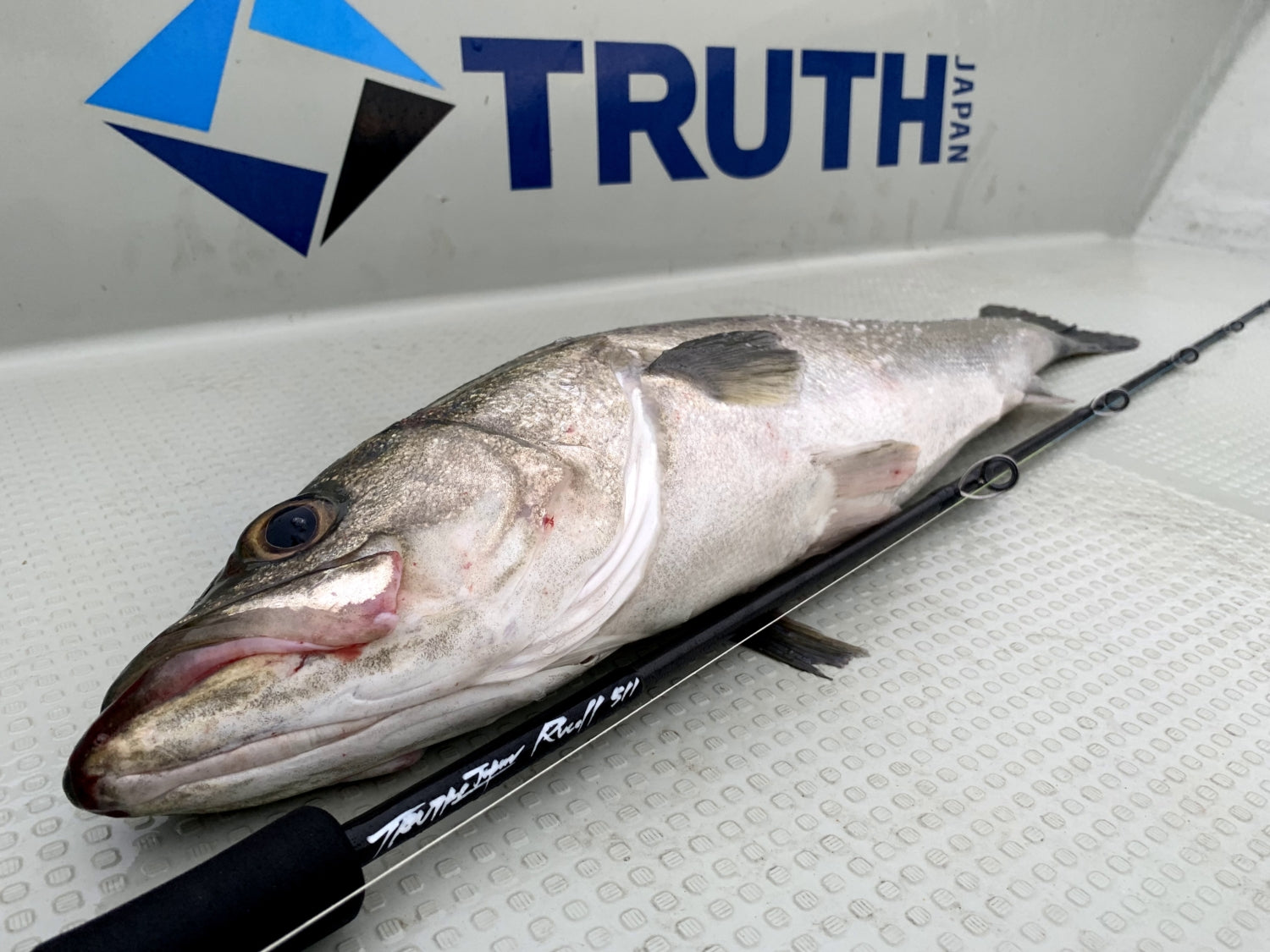TRUTH JAPAN Rucell 511