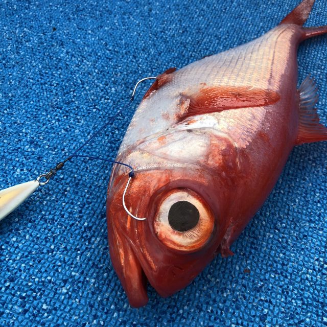 VANFOOK JIGGING ASSIST LINE FC J-FC