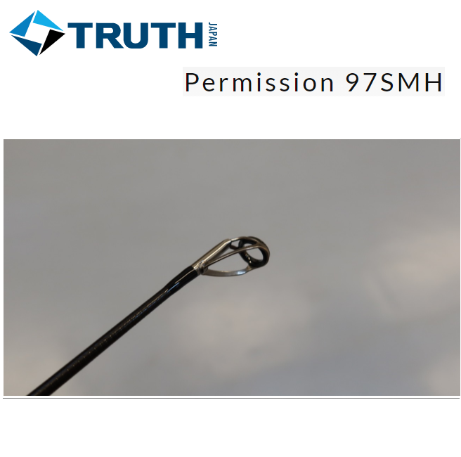 TRUTH JAPAN Seabass spinning Rod Permission 97SMH