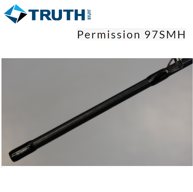 TRUTH JAPAN Seabass spinning Rod Permission 97SMH