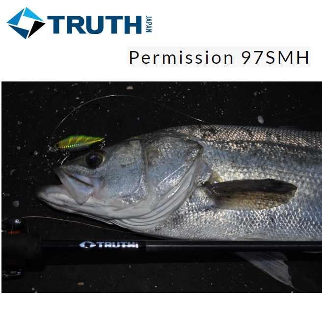 TRUTH JAPAN Seabass spinning Rod Permission 97SMH