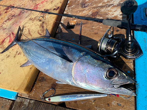 DAIWA Saltiga TB Jig Tonjigi Custom 400g