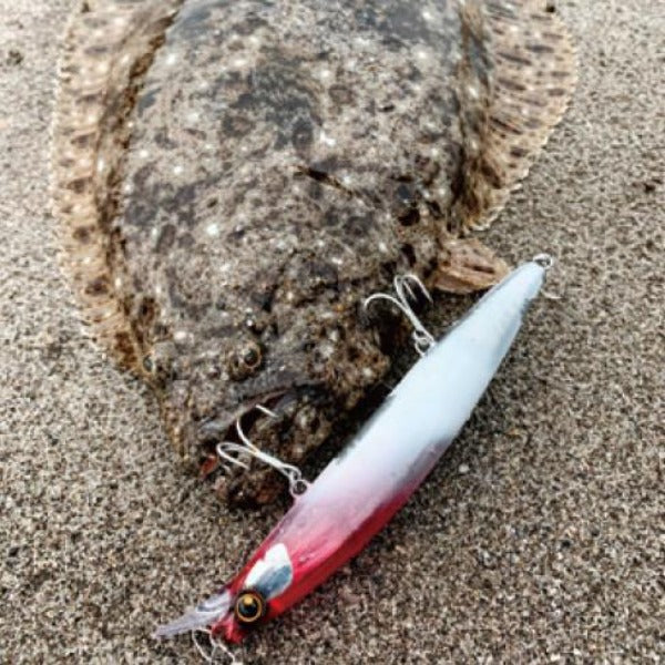 SHIMANO NESSA HIRAME MINNOW 135F FLASHBOOST XF-313T