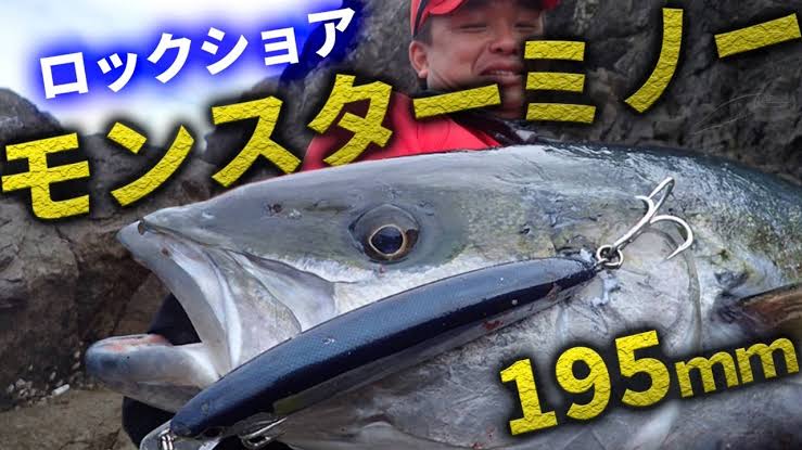 2019 MARIA BOAR SS195 Slow Sinking Minnow 195mm 85g - Coastal Fishing Tackle