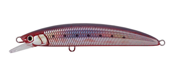 2019 MARIA BOAR SS195 Slow Sinking Minnow 195mm 85g - Coastal Fishing Tackle
