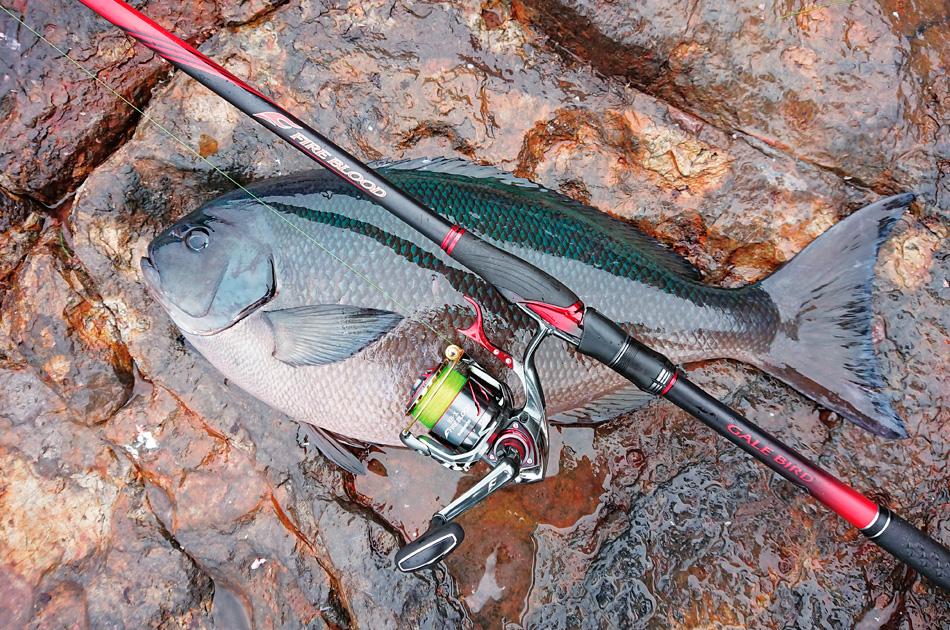 20 Shimano ISO Fishing Rod Fireblood Onaga - Coastal Fishing Tackle