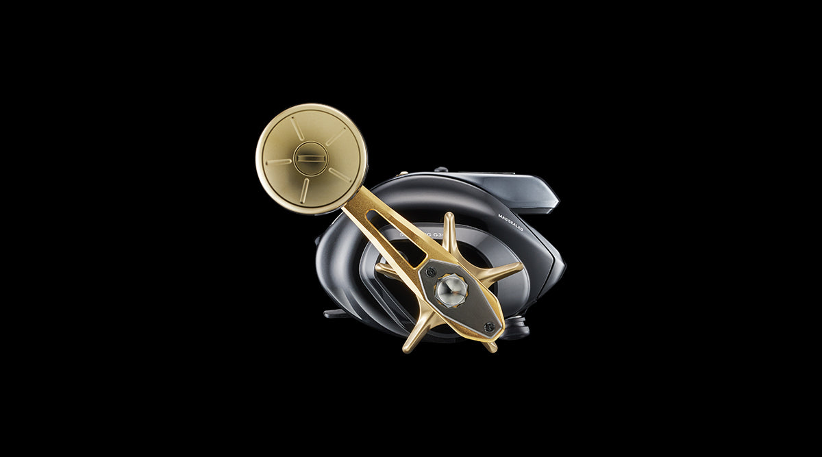 (JDM) 21 Daiwa Seaborg Electric Reel G300J / G300JL