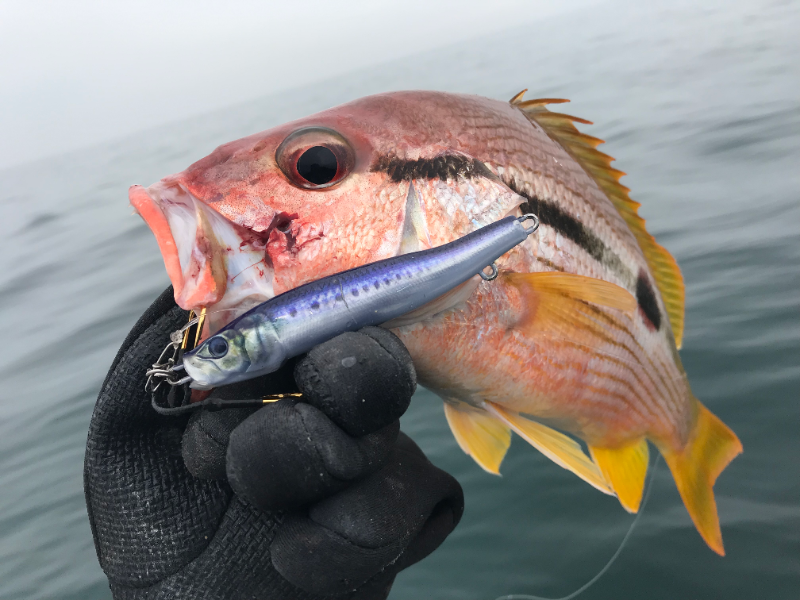 Little Jack Jig METAL ADICT Type-04 200g