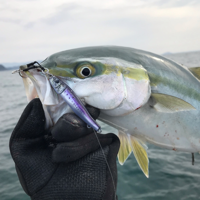 Little Jack Jig METAL ADICT Type-04 200g