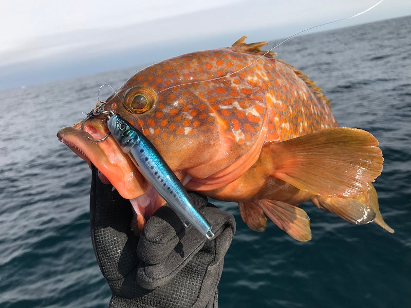 Little Jack Jig METAL ADICT Type-04 200g
