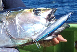 S.O.M (Studio Ocean Mark) Premium Hook OceanTWIN BBS88 for King or YF-Tuna Plugging Game