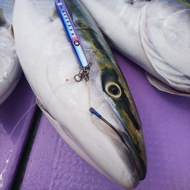 XESTA SLOW EMOTION FLARE SLIM SODANE METAL JIG 175g