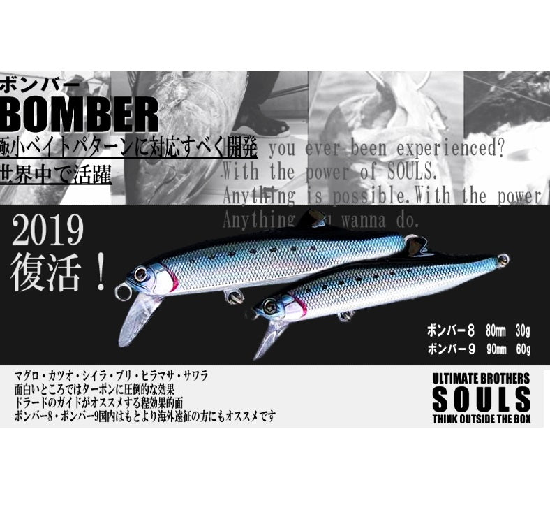 SOULS Sinking Minnow BOMBER 8 80mm 30g