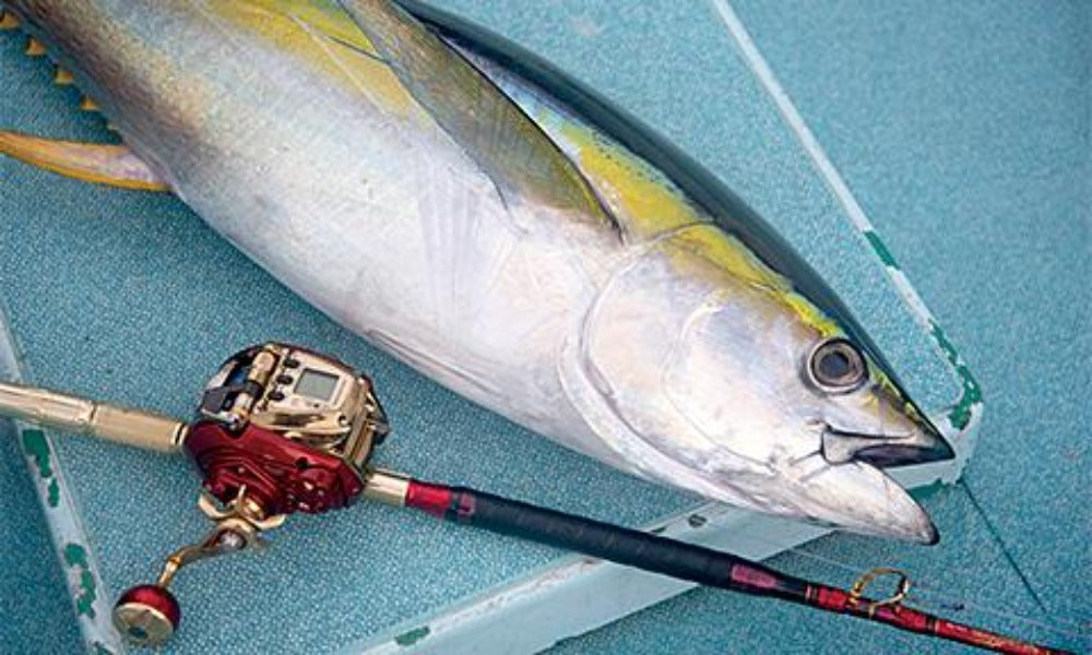 Daiwa Seaborg 600MJ Electric Reel