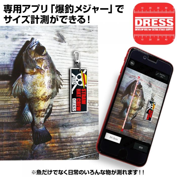 ONE PIECE X Dress Rubber Key Holder Fish Measure