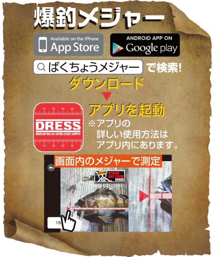 ONE PIECE X Dress Rubber Key Holder Fish Measure