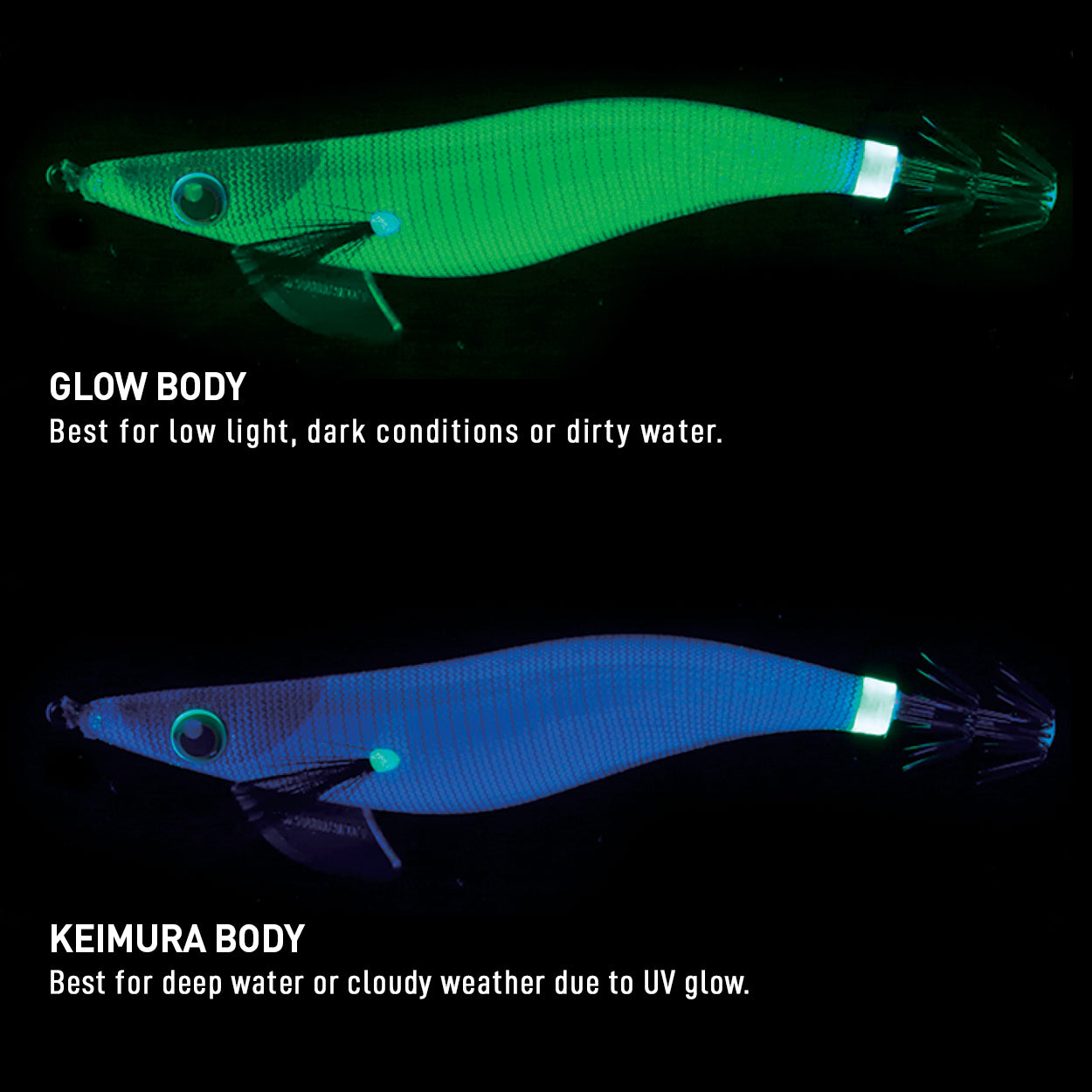 Shimano Sephia Egixile BB Egi #2.5