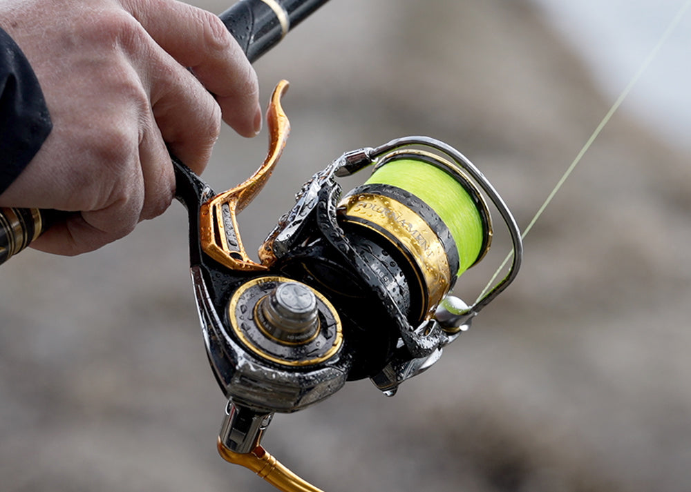 (JDM) 2022 Daiwa TOURNAMENT ISO Fishing LBD Reel