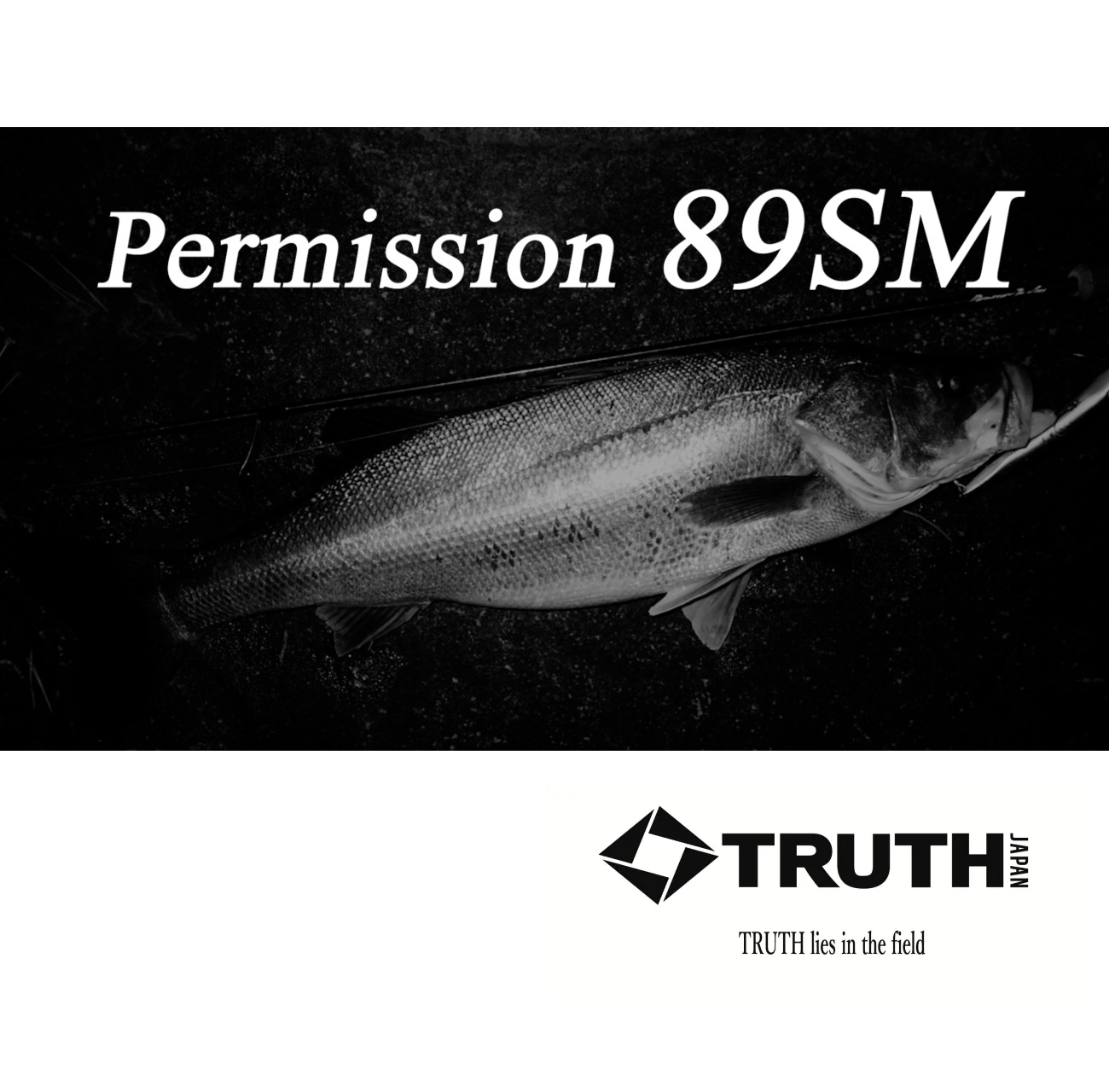 TRUTH JAPAN Spinning Rod Permission 89SM