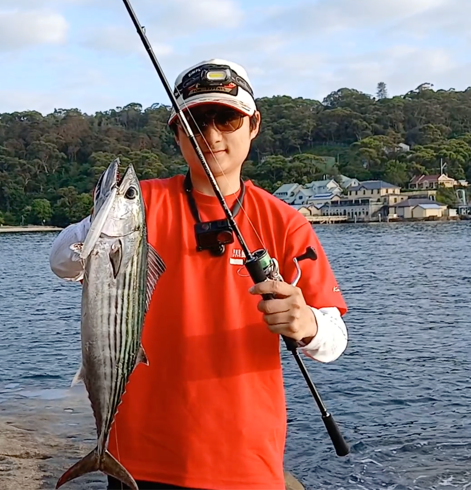 Fishing Report: Summer Time! Topwater Pelagic Fishing in Sydney Harbour