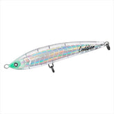 (JDM) Daiwa SALTIGA Cuddler 160F - No hooks