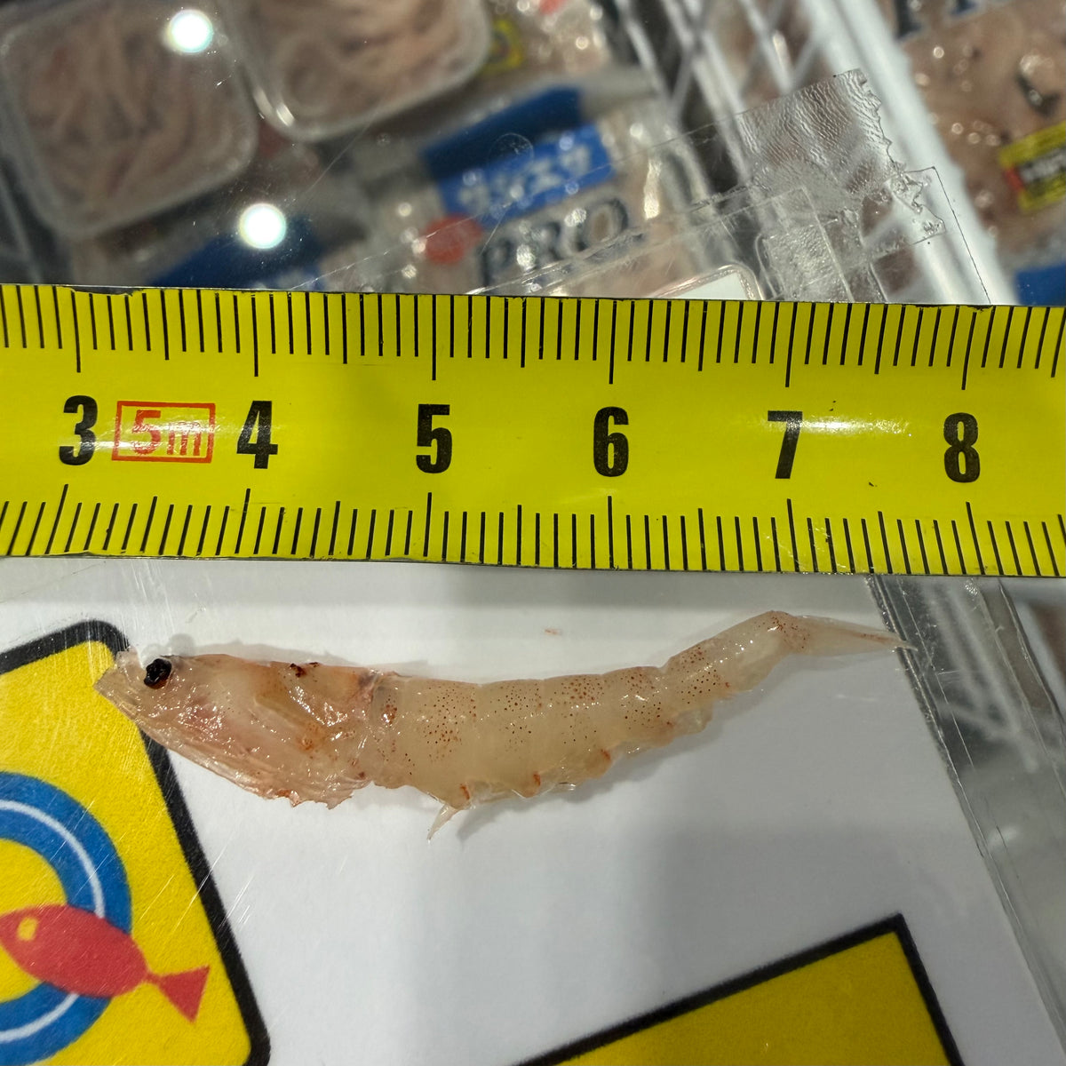 (in-store only)Marinated krill bait 腌制南极虾