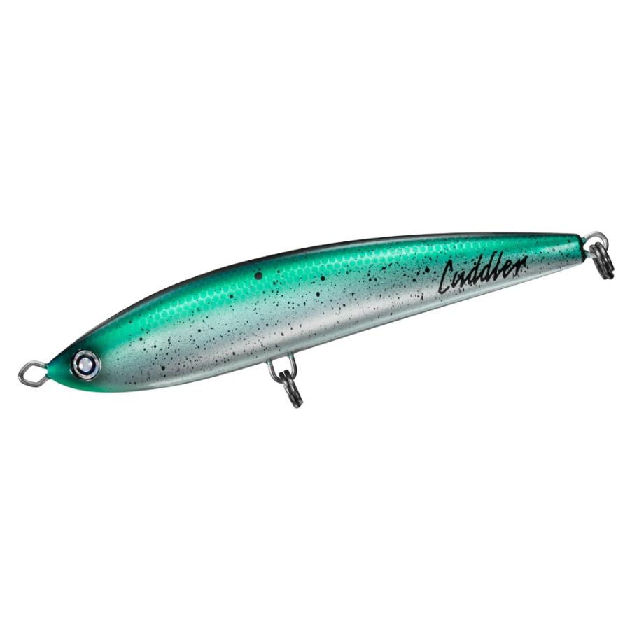 (JDM) Daiwa SALTIGA Cuddler 160F - No hooks