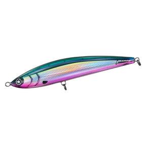 (JDM) Daiwa SALTIGA Cuddler 240F - No hooks
