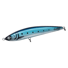 (JDM) Daiwa SALTIGA Cuddler 240F - No hooks
