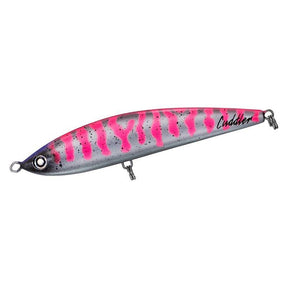 (JDM) Daiwa SALTIGA Cuddler 185F - No hooks